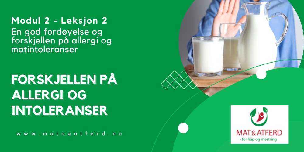 Modul 2 - Leksjon 2 - Allergi og intoleranser