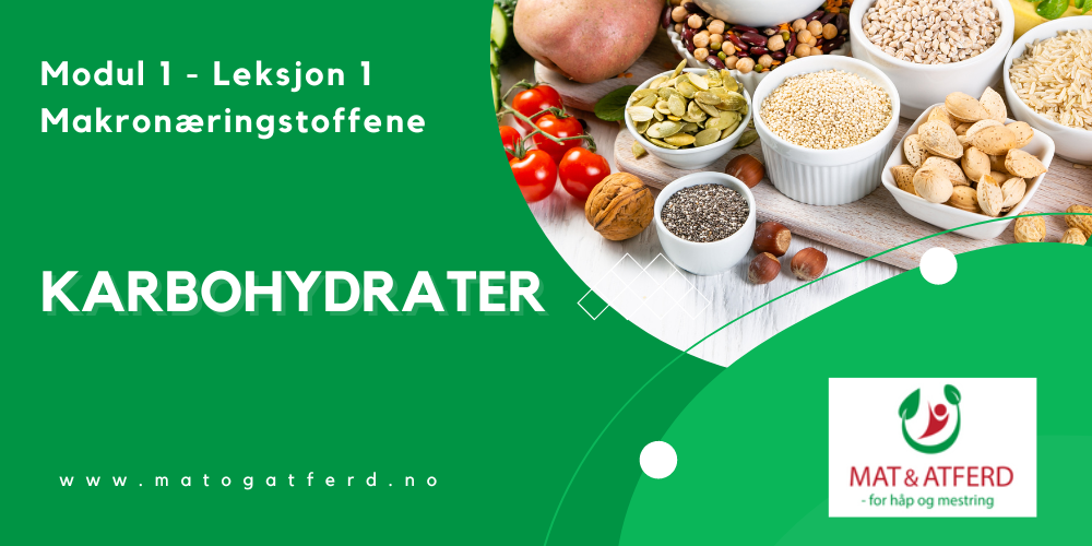 Modul 1 - Leksjon 1 - Karbohydrater